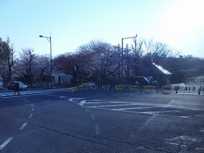 s-P4042324