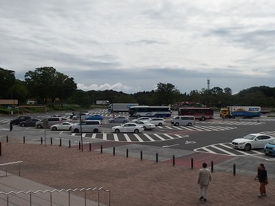 P8313902