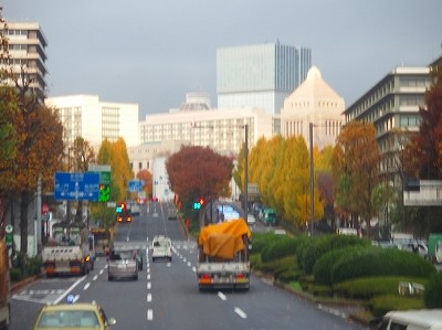 PB290011