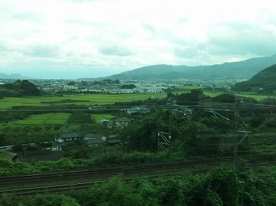 P8313984