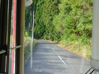 DSC07981