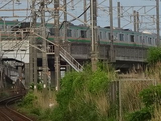 DSC00784