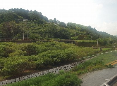 s-P7123255