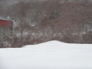 DSC03461