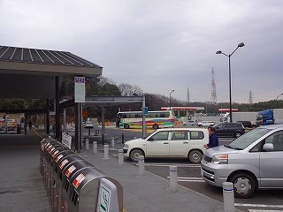 DSC09804