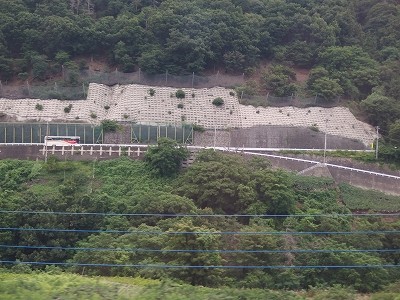 P7133464