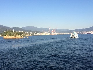 IMG_6502