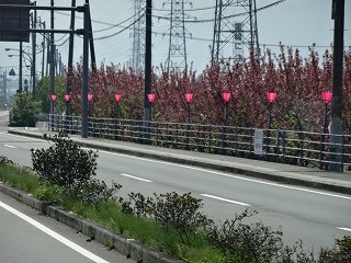 DSC00409