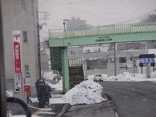 DSC03484