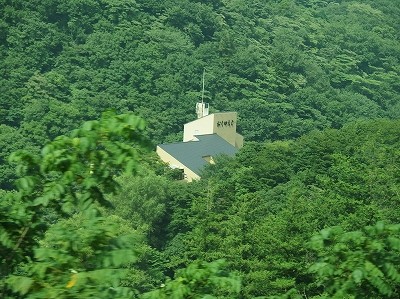 P8193886