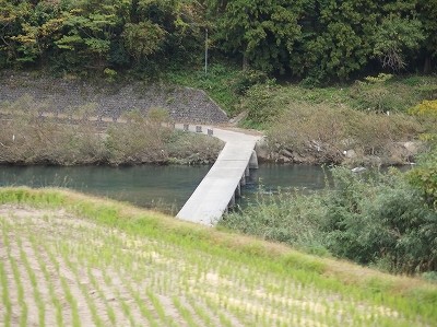 PB034539