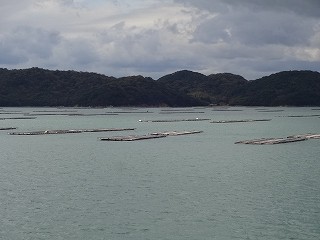DSC08566