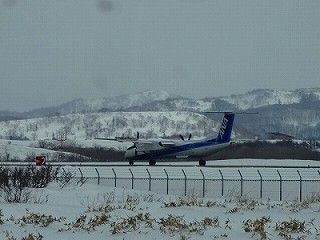 s-DSC09940