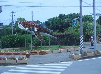 P5110226