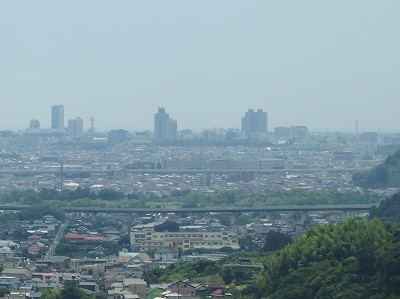 P7193591