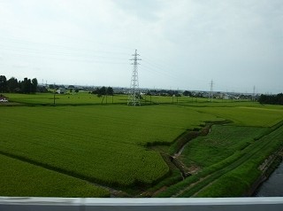 P8190478