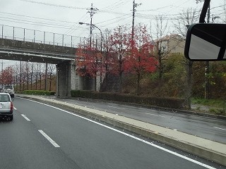 DSC08113