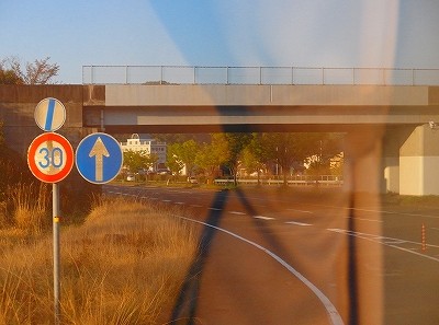 P4200326