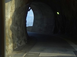 DSC07957