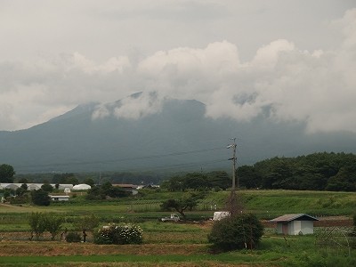 P7133456