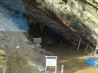 DSC07956