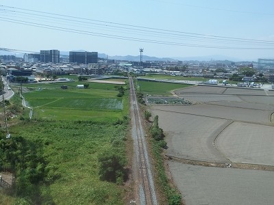 P6152839
