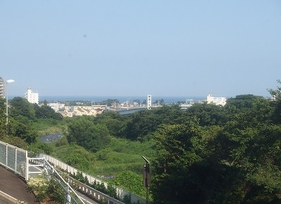 P8193910