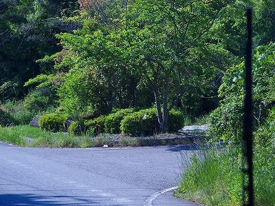 P5192557