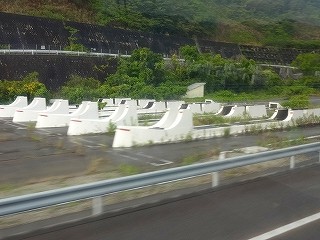 DSC00230