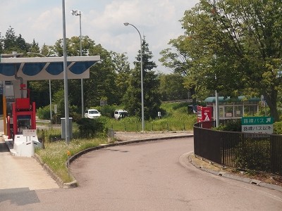 P7133434