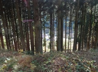 DSC08048