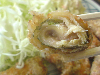 かもだ 3