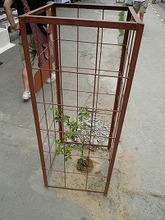 ポカラの街4