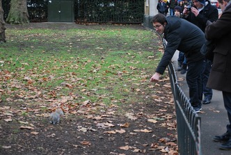 St James's Park 3