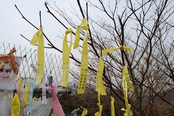 自由の橋3