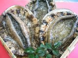 白魚4