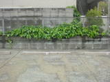 c71ec836.jpg