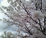 d321ae1a.jpg