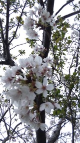 130330¡÷¿·ÇϾìÅ쳤¶¶¶á¤¯ºù