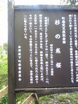 093a8408.jpg