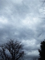 0e57f8a6.jpg