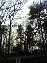 229ef28f.jpg