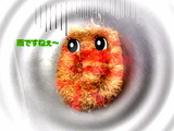 31755ece.jpg