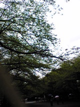 50c9faa2.jpg
