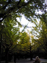 5d3e8187.jpg