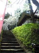 63af0397.jpg