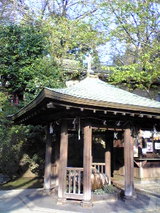 74377d89.jpg
