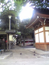 82f33662.jpg