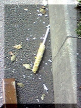 857df19c.jpg