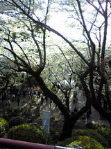 8c38197c.jpg
